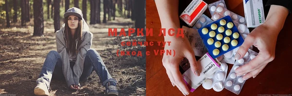 винт Аркадак