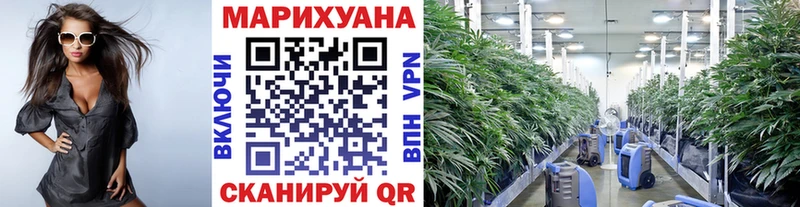 МАРИХУАНА Amnesia  где можно купить   Нижняя Салда 